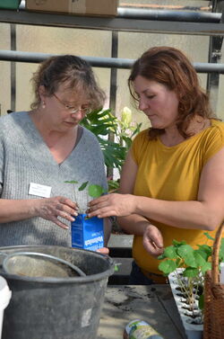 Umtopfen und Upcyceln - © HMLU