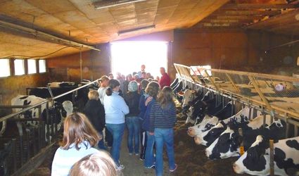 Hoferlebnis im Kuhstall.jpg