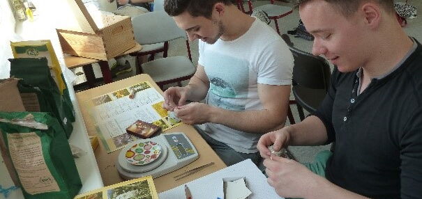 Teilnehmende beim Workshop