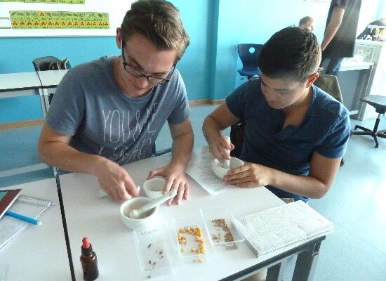 Teilnehmende des Workshop Biokunststoffe