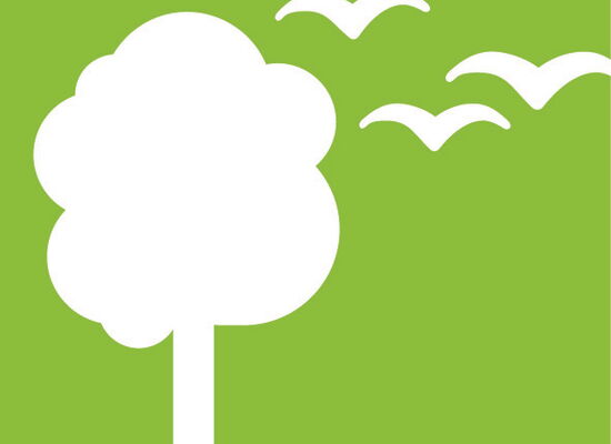 Nachhaltigkeit lernen - Icon eines Baumes auf einem grünen Hintergrund