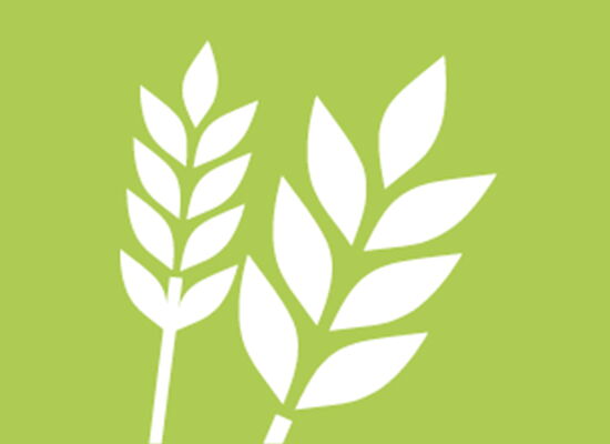 Icon von Getreide auf einem grünen Hintergrund