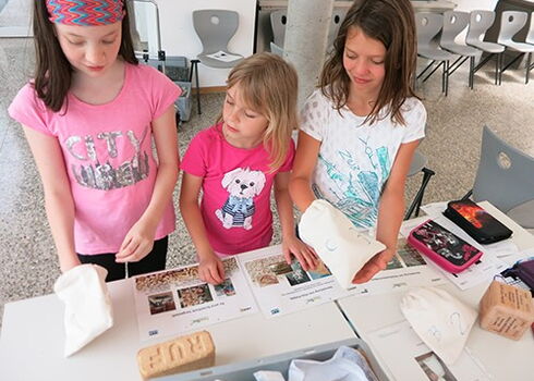 Wärme wächst im Wald