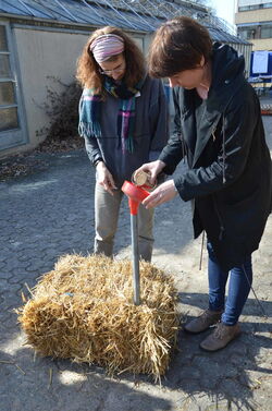 Strohballen - © HMLU