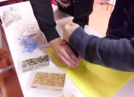 Station zum Plastik vom Acker