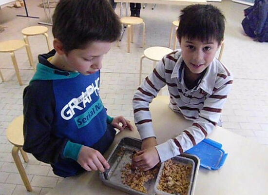 Kinder beim Workshop Wärme wächst im Wald